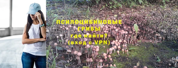 ALPHA PVP Козловка