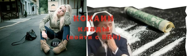 ПСИЛОЦИБИНОВЫЕ ГРИБЫ Костерёво