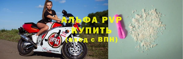 прущие грибы Козельск