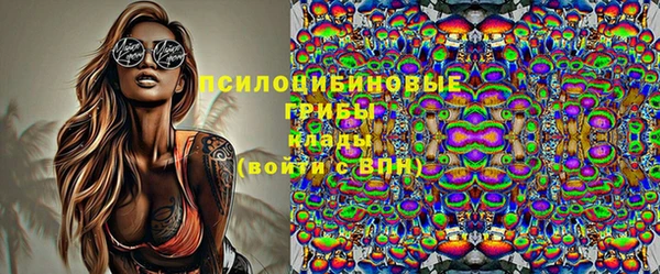 прущие грибы Козельск