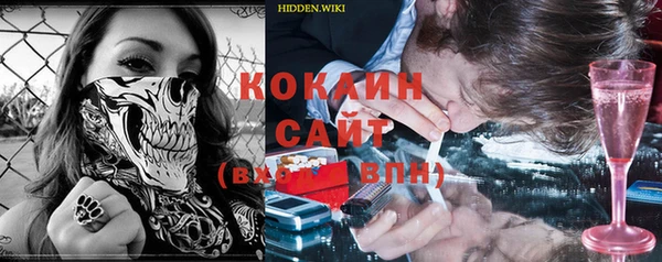 прущие грибы Козельск