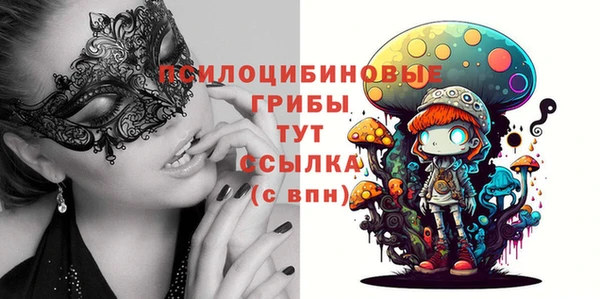 прущие грибы Козельск