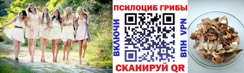 Купить где  Гулькевичи  Галлюциногенные грибы мицелий 